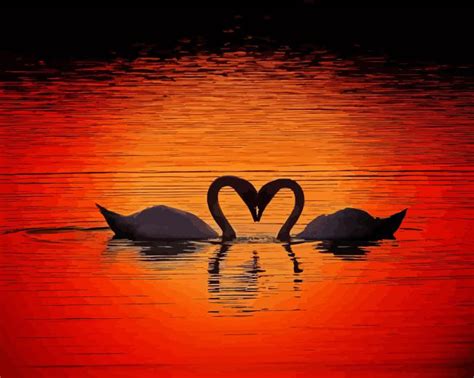 Swans Heart Silhouette 5d Diamond Painting