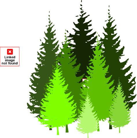 Pine Realistic Tree Png Clip Art Best Web Clipart Images