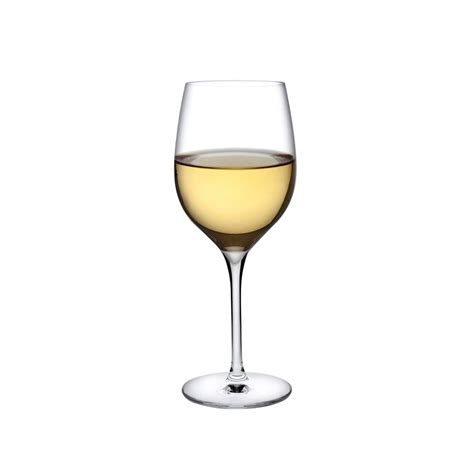 Terroir Set Of 2 White Wine Glasses Nude Usa
