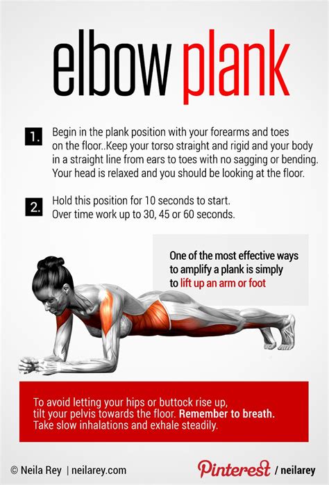Elbow Plank Perfect Core Exercise Healthy Fitness Fitness Body