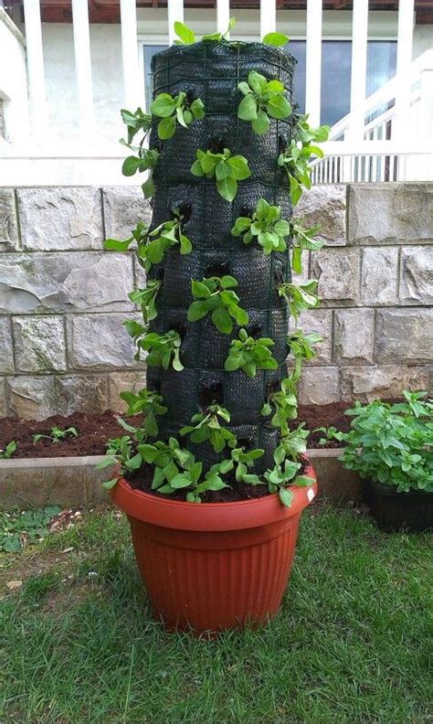 Flower Tower Small Vegetable Gardens Hydroponic Herb Garden Tower