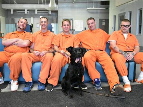 Forsyth County Jail Debuts Pups With Purpose Inmate Program Cumming Ga Patch