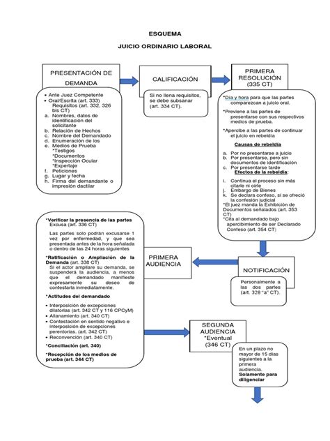 Esquema Juicio Ordinario Laboraldocx Gobierno Política