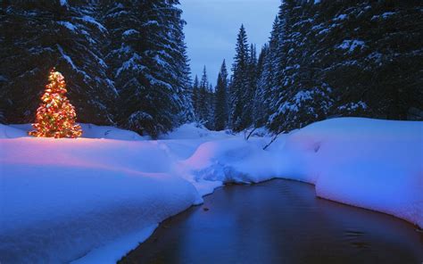 Landscape Winter Trees Snow Christmas River Night Nature