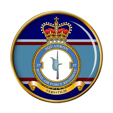 Raf Regiment 37 Squadron Pin Badge Ebay