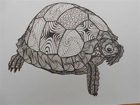 Zentangle Tortoise Line Drawing Tattoos Tattoo Drawings Tortoise