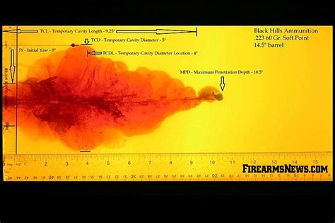 Ballistic Gel Bullet Testing — What You Need To Know Firearms News