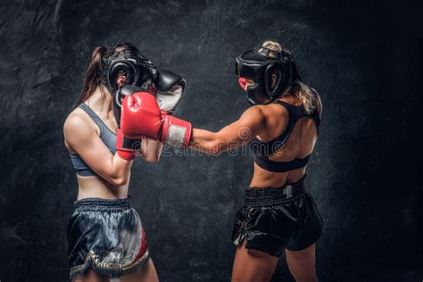 Fight Between Two Professional Female Boxers Stock Image Image Of Champion Activity