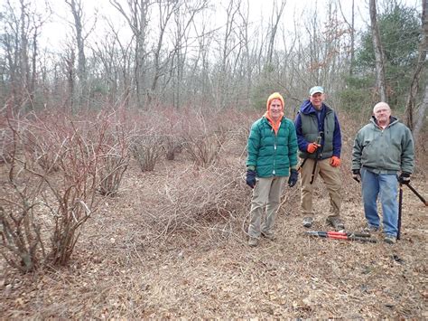 Wernick Farm Reserve Dartmouth Natural Resources Trust Dnrt