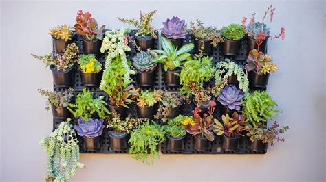 Vertical Succulent Wall Garden Lovealways Marissa