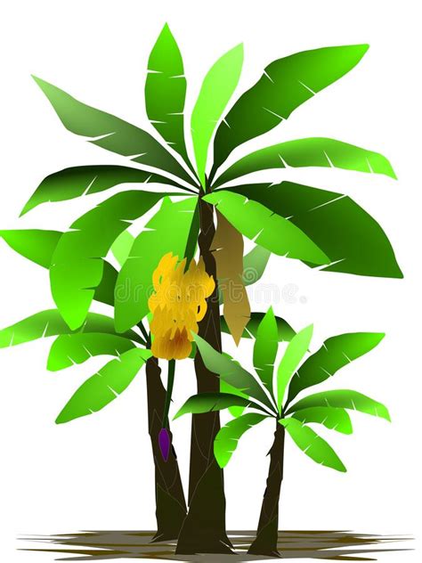 The Illustrations And Clipart Tropical Island With Banana Trees Summer