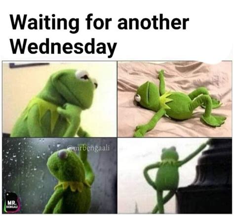 Wednesday Frog Meme Kermit Waiting For Wednesday Comics And Memes