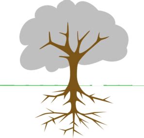 Cartoon Tree Roots ClipArt Best