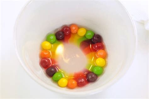 Skittles Rainbow Science Experiment Raising Lifelong Learners