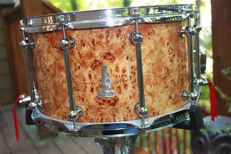 BRADY X Walkabout Series Australian Poplar Burl Finish Snare Modern Drummer Walkabout