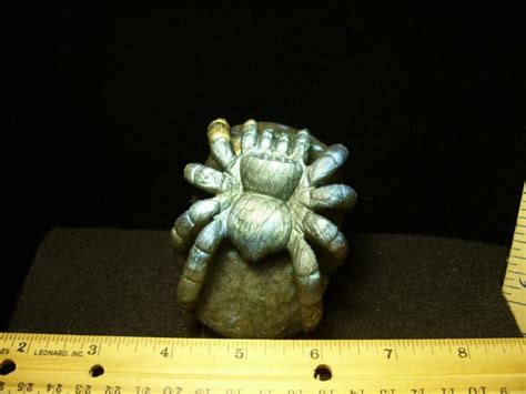 Labradorite Tarantula Spider Carving040820e The Stones And Bones