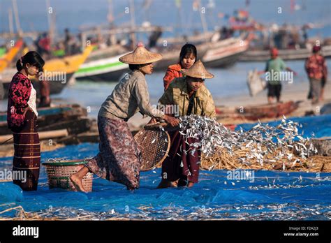 Fishing Nets On Ngapali Beach Myanmar Hi Res Stock Photography And