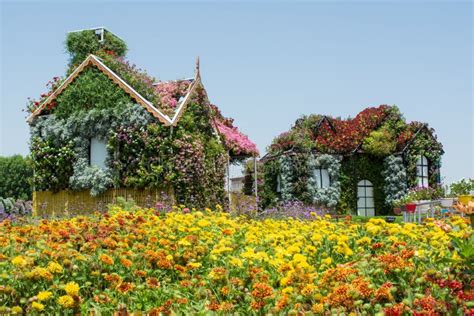 Beautiful Flower Field With Two Decorated Houses Stock Photo Image Of