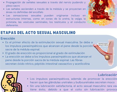 ACTO SEXUAL FEMENINO Y MASCULINO