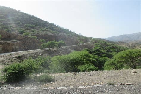 Kohaito Eritrea June 03 2016