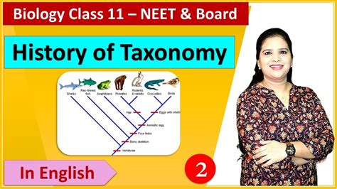 History Of Taxonomic Classification Cladogram Ncert Class 11 Youtube