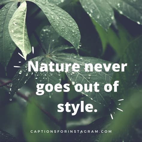 100 Beautiful Best Nature Captions For Instagram Pinterest