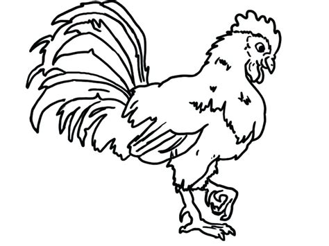 Educational game connect dots to draw rooster bird. Free Rooster Coloring Pages at GetColorings.com | Free printable colorings pages to print and color