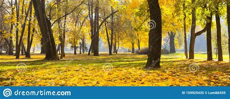 Wide Angle Nature Autumn Landscape In Sunny Day Stock Image Image Of