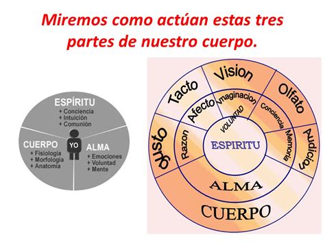 TabernÁculos Último Gran Avivamiento ¿cristiano AnÍmico O Espiritual