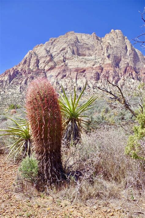 Desert Landscapes Red Rock Canyon Conservation Park Nevada Usa Stock