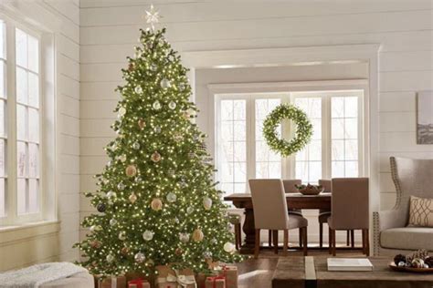 Are Christmas Trees Pagan The American Vision