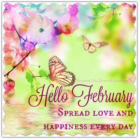 Beautiful Butterflies Hello February Spread Love And Happiness