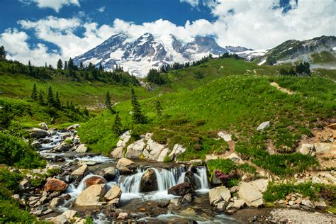 Trip To Mount Rainier National Park Couples Getaway