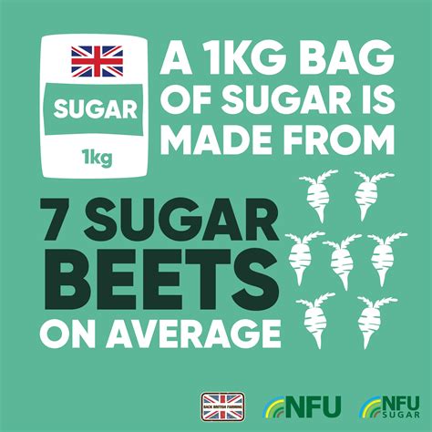 Educate The Public With These Informative Nfu Sugar Infographics