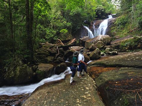 Sinharaja Rain Forest Rain Forest In Sri La