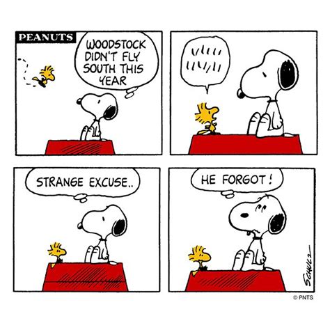 397 Best Images About Favorite Snoopy Cartoon Strips On