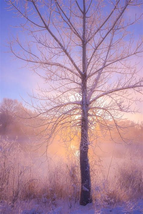 Cold Winter Morning By Darren White Winter Mornings Fine Art