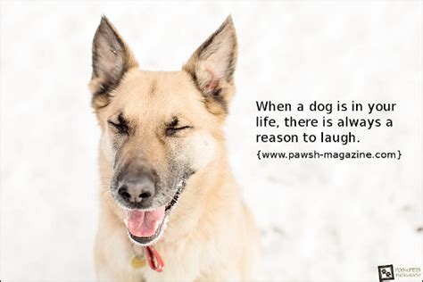Happy Dog Quotes Quotesgram