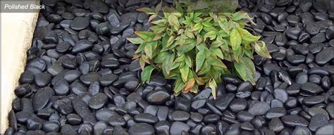 Polished Black Exotic Pebbles Penrith Sydney Blue Mountains