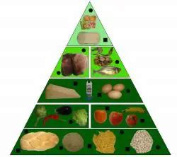 Znaczenie Food Pyramid Co To Jest Poj Cie I Definicja Znaczenie
