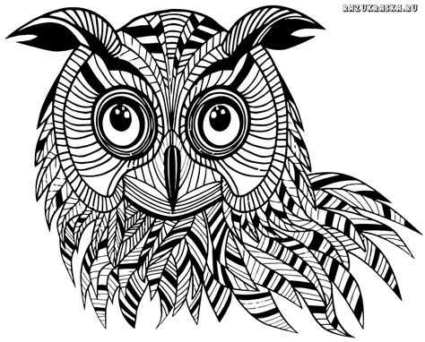 Rundherum wird ein mysteriöser wald bei nacht dargestellt. Eule Mandala : Owl Dream Catcher BIG SIZES Reusable ...