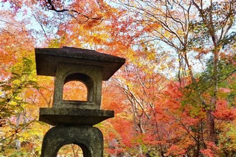 Hokyo In Temple Yes For Autumn Fall Colors In Arashiyama Photos 🗾🍁