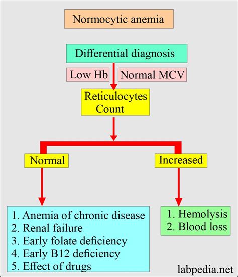 Anemia Classification Chart Studocu