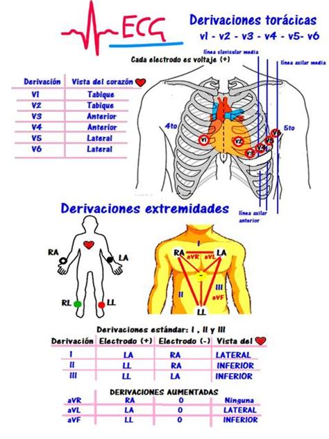 Electrocardiograma Derivaciones Electrocardiografía básica Electrocardiograma uDocz