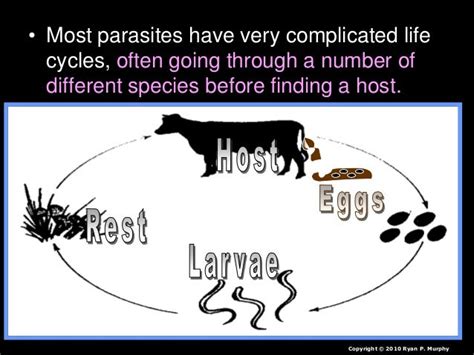 Parasites Lesson Powerpoint