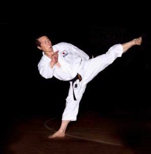 Massao Kagawa vem ao Brasil para ministrar curso técnico de karatê Shotokan Revista Budô