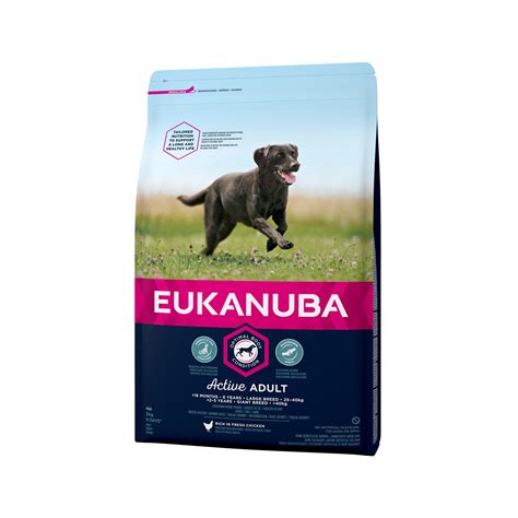 Eukanuba Dog Active Adult Large Breed Hond