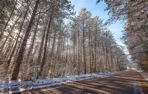 Snow Covered Woods Beautiful Forests Along Rural Roads Stock Photo