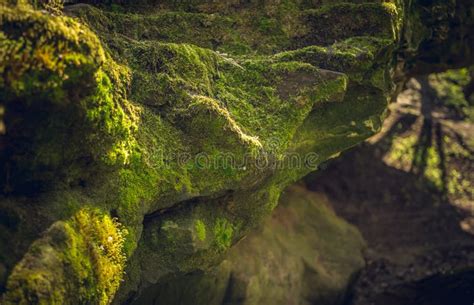 Old Moss Covered Granite Boulders Stock Image Image Of Flora Juicy