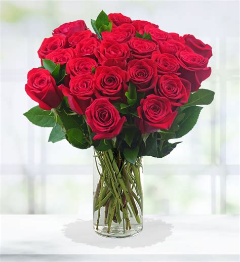 Two Dozen Red Roses Avas Flowers